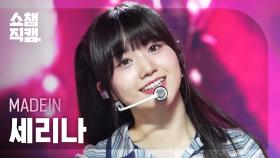 [쇼챔직캠 4K] MADEIN SERINA(메이딘 세리나) - UNO | Show Champion | EP.536 | 241009