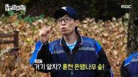 홍천의 명소 수타사에 방문한 유재석X하하! 피톤치드 가득한 향기에 한껏 신난 장꾸 형제😆, MBC 241026 방송