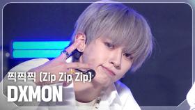 [COMEBACK] 다이몬(DXMON) - 찍찍찍 (Zip Zip Zip) l 241106