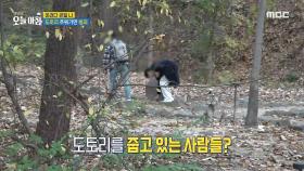 ＂도토리＂ 주워가면 범죄?!, MBC 241107 방송