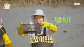 엄청난 어복의 소유자 이장우?!🐟 미꾸라지로 가득한 이장우의 통발!, MBC 241110 방송