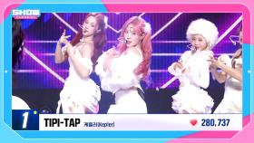 [STAGE CHAMPION] SHOW CHAMPION 539회 BEST CLIP TOP3✨ l 241113