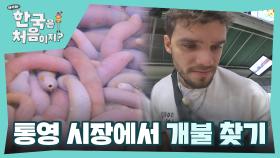 미션✨ 통영 시장에서 개불을 찾아라!