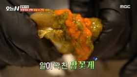 알이 꽉 찬 암꽃게의 풍미! 황홀한 맛의 밥도둑 양념 게장X간장 게장, MBC 241119 방송