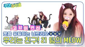 여기가 주간아야 고양이 유치원이야😺😺 우리는 친구! 21 팀의 