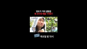 [홈즈후공개] 당도가 거의 설탕급, 배 과수원 매물 가격은?, MBC 241114 방송