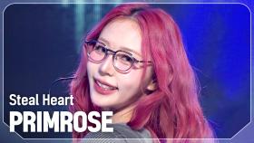 프림로즈(PRIMROSE) - Steal Heart l 241204