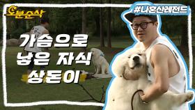 [오분순삭] 상렬X상돈 부자의 가슴 찡한 재회👨🐶🐾| 나혼자산다⏱오분순삭 MBC160701방송