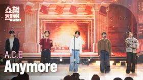 [쇼챔직캠 4K] A.C.E(에이스) - Anymore | Show Champion | EP.542 | 241204