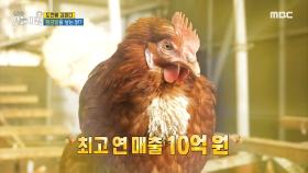 황금알을 낳는 닭?!, MBC 241209 방송