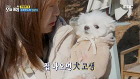 슈퍼犬스타 장군이🐶, MBC 241216 방송