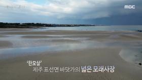 제주 4.3 사건의 비극성을 보여준 한강의 ＜작별하지 않는다＞, MBC 241216 방송