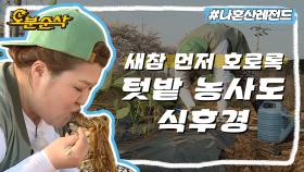 [오분순삭] 국주 텃밭 쌈채소로 가득 채우기🌱 생각만 해도 힘드니까 자장면 곱빼기 호로록!🍜| 나혼자산다⏱오분순삭 MBC160422방송