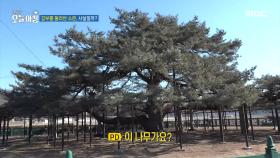 경북 예천엔 600살 갑부가 산다?!, MBC 250113 방송