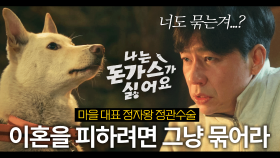 [드파밍][#나는돈가스가싫어요] 정관수술을 하고도 자식이 또 생겨버린 옹화마을 정자왕 정상훈🌶️ 백구야 너만은 자유를 찾아라😭 MBC 240705방송