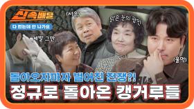 정규로 컴백! 하자마자 벌어진 전쟁?! 다시 돌아온 캥거루들💕 l #다컸는데안나가요신속배달 l #다컸는데안나가요 l #MBCevery1 l EP.01