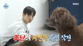 이주승의 코코 목욕시키기 대작전! 현역 배우 스킬로 펼치는 치밀한 유인 작전👍, MBC 250124 방송