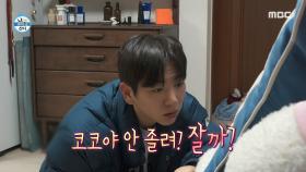 이주승의 손길에 쏟아지는 싸늘한 눈빛👀 서열 2위 코코와 함께 시작된 동거, MBC 250124 방송