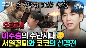 [엠뚜루마뚜루] 서열 꼴찌가 강아지를 맡으면 벌어지는 일💦 패딩 입히려는 이주승 VS 벗으려는 코코의 신경전🔥ㅣ#이주승 MBC250124방송
