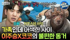 [엠뚜루마뚜루] ＂이상하게 눈이 사람 눈이에요＂ 엄마 분리불안 있는 반려견 코코와 (강제) 한 달 살게 된 이주승😢ㅣ#이주승 MBC250124방송