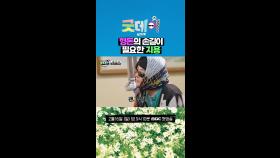 형돈의 손길이 필요한 지용, MBC 250216 방송