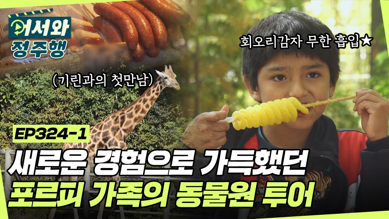 처음 본 동물과 처음 먹은 간식✨ 새로운 경험으로 가득했던 포르피 가족의 동물원 투어🦒 l #어서와정주행 l #MBCevery1 l EP.324-1... 