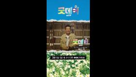 [황정민 ver] 2025년 우리가 함께 만들어갈 Good Day!, MBC 250216 방송
