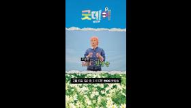 대망의 Good Day 첫 방송🌟 안녕하세요 지드래곤입니Day~, MBC 250216 방송