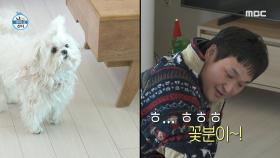 방귀를 뀐 꽃분이?! 미궁으로 치닫는 구성환의 방귀 살포 사건🤔, MBC 250221 방송