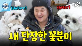 [픽잇] 꼬질美 벗고 환골탈태한 꽃분이 (feat. 방귀 살포 사건) MBC250221방송