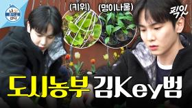 [픽잇] 야물딱진 키의 화훼 농원 버금가는(?) 미니 텃밭 가꾸기 MBC220429방송