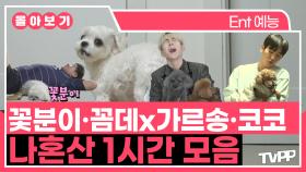 《TVPP》 귀여움 폭발🐶 꽃분이X꼼데X가르송X코코 나혼산 강아지 1시간 몰아보기 | 나혼자산다 | TVPP | MBC 220722 방송 외