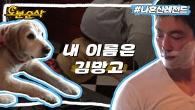 [오분순삭] 기안84 : 다니엘 헤니네는 개도 잘생겼네 | 나혼자산다⏱오분순삭 MBC161216방송