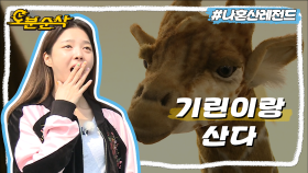 [오분순삭] 기린으로 프러포즈 받는 게 꿈이에요😍 기린 집에 얹혀 사는 배우 엄현경🦒 | 나혼자산다⏱오분순삭 MBC160408방송