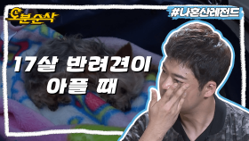 [오분순] 현무의 가족이자 반려견인 17살 또또🐕 그리고 또또를 향한 현무의 애틋한 눈물 | 나혼자산다⏱오분순삭 MBC180511방송