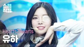 [쇼챔직캠 4K] Hearts2Hearts YUHA(하츠투하츠 유하) - The Chase | Show Champion | EP.546 | 250312