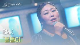 BMK - 물들어 | #피크닉라이브소풍 l EP.31