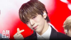 [덕질캡처용♥CLEAN] 누에라 - 뉴 이즈 나우 (NouerA - N.I.N (New is Now)) l #쇼챔피언 l EP.546