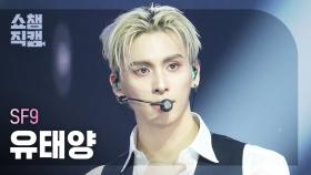 [쇼챔직캠 4K] SF9 YOO TAE YANG(에스에프나인 유태양) - LOVE RACE | Show Champion | EP.547 | 250319