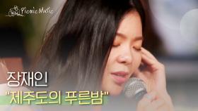 장재인 - 제주도의 푸른밤 l #피크닉라이브소풍 l EP.73