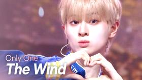 더윈드(The Wind) - Only One l 250402