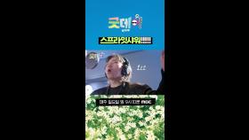 스프라잇샤워!!!!!, MBC 250413 방송
