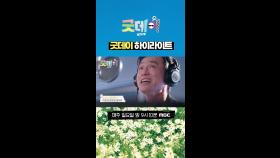 굿데이 하이라이트, MBC 250413 방송