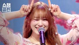 [덕질캡처용♥CLEAN] 이젤(Ejel) - 봄은 내 안티 l #쇼챔피언 l EP.550