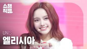 [쇼챔직캠 4K] UNIS ELISIA(유니스 엘리시아) - SWICY | Show Champion | EP.552 | 250423