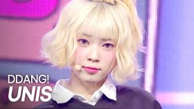 [최초 공개] UNIS(유니스) - 땡!(DDANG!) l 250423