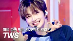 [COME BACK] TWS(투어스) - 마음 따라 뛰는 건 멋지지 않아? l 250430