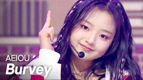 버비(Burvey) - 아에이오우(AEIOU) l 250430