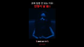 과제 집중 안되는 이유: 인형이 날 봄;; #심야괴담회