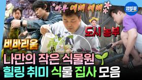 [엠뚜루마뚜루] 취미로 반려식물 키우기 어때요?😉 힐링 또는 환장 그 잡채인 나혼산 속 식집사 모음.zip | #식집사 #김대호 #키 MBC250321방송